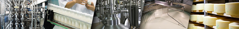 Dairy Processing header image